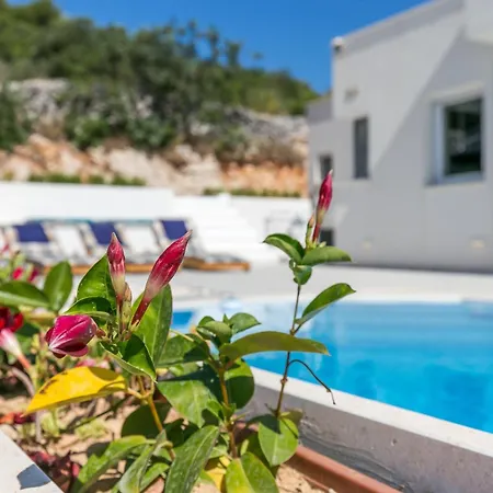 Luxury With A Swimming Pool Seget Donji, Trogir - 22094